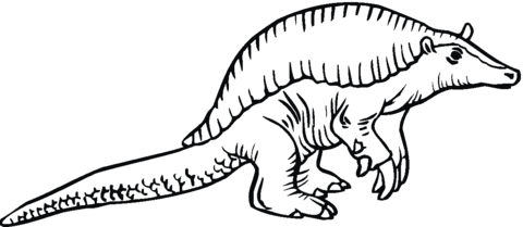 Giant Armadillo Coloring Page